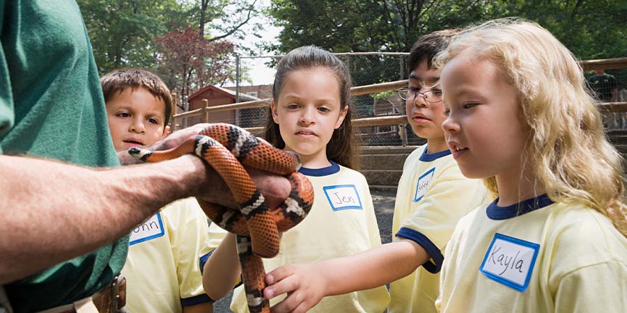 Zoo employee showing a snake to a group of children.