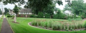 rain garden