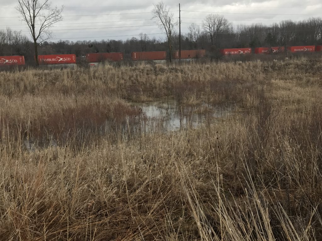 bio retention pond