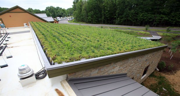 green roof