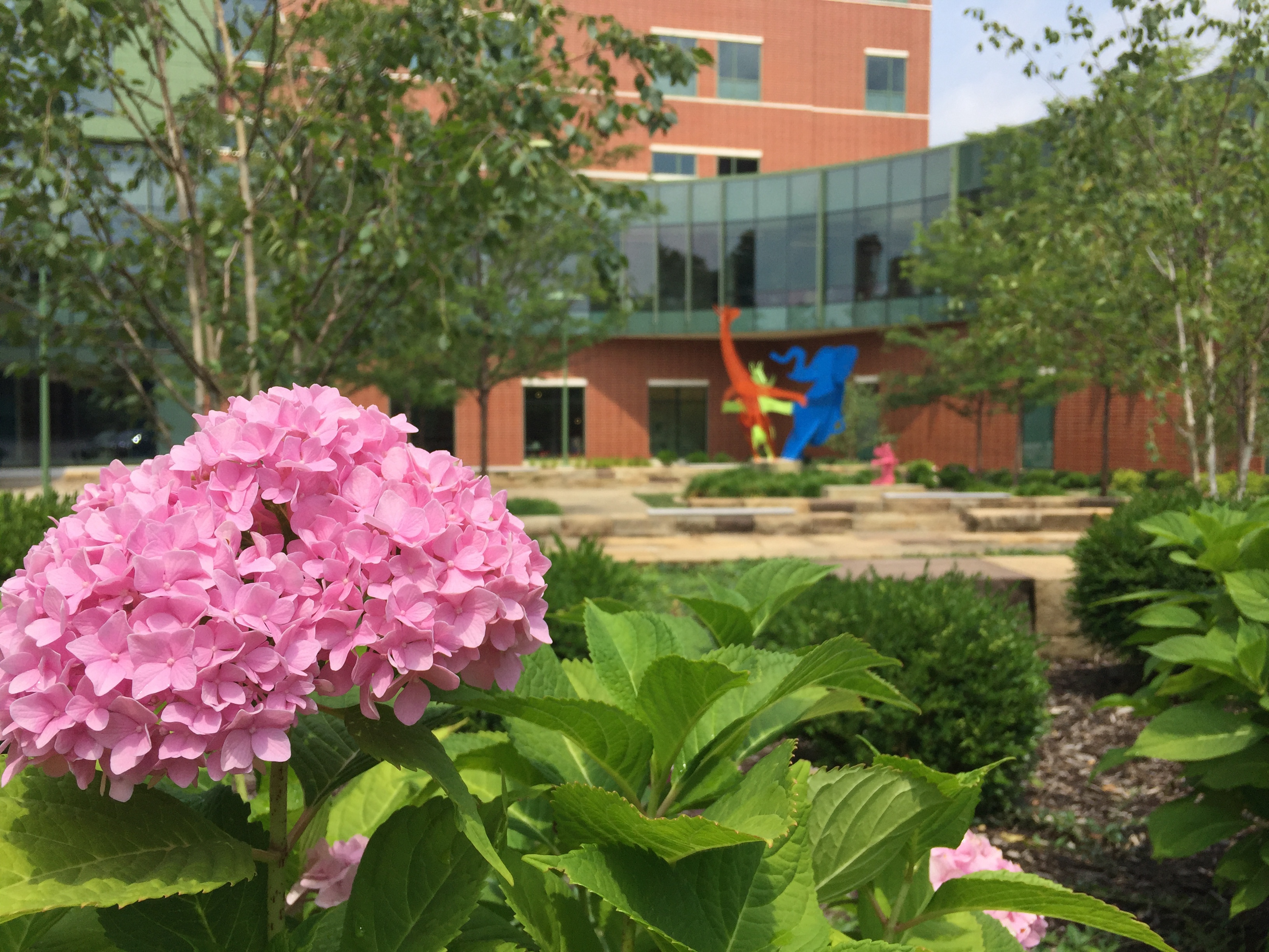 Civil Engineering and Landscape Architecture in Health Care Design