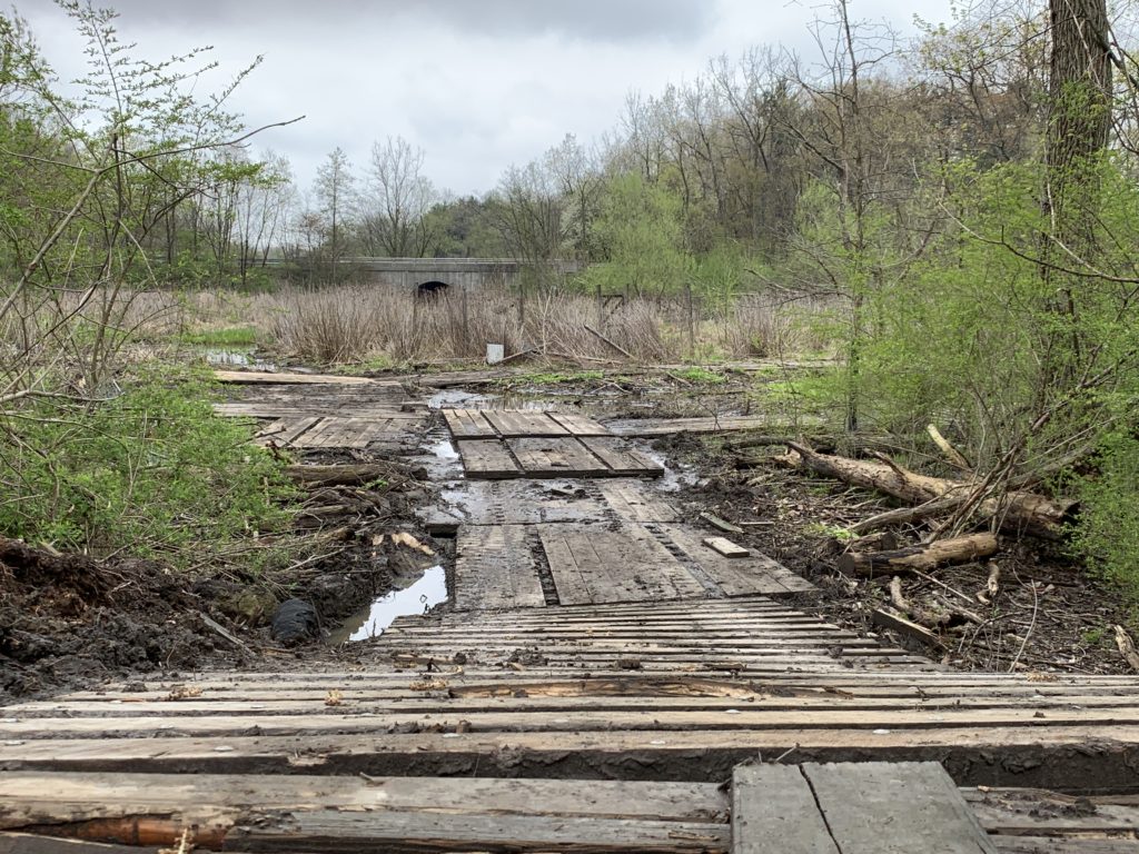 Floodplain wetland 