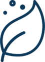 wetland delineation sub service Page Icon 2