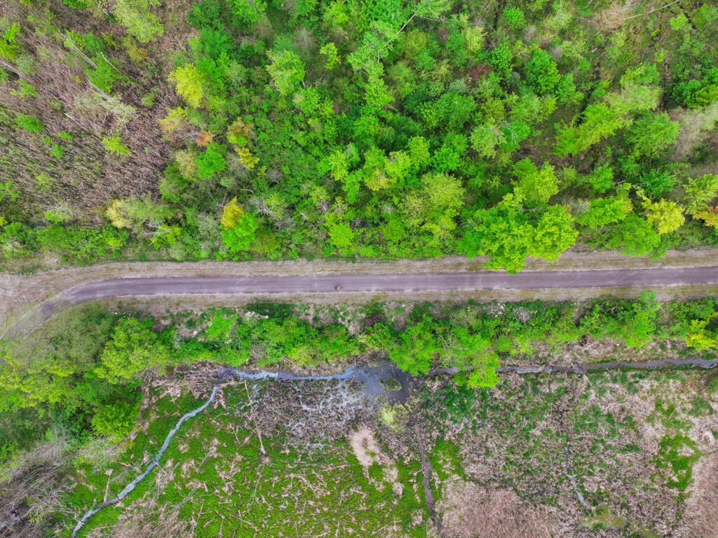 Aerial view of a lush green landscape with a trail running down the middle and water on the side