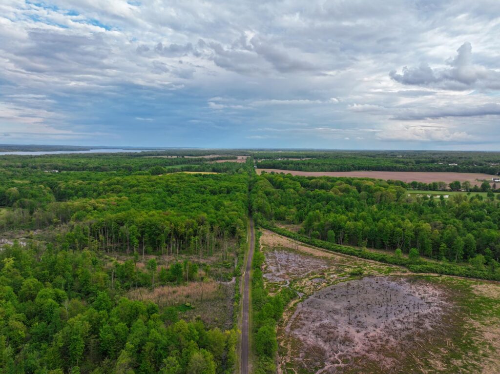 Aerial view of a lush green landscape with a trail running down the middle and a wetland on either side