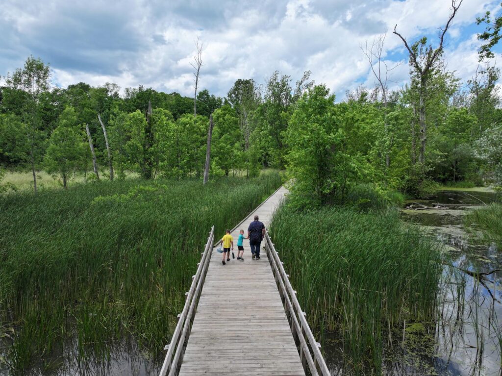 Family walking down the boardwalk through a swamp