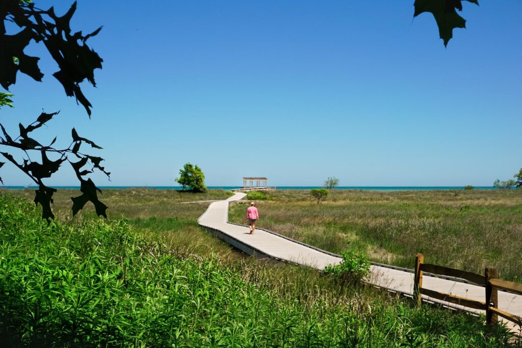 Person walking down the boardwalk through a field