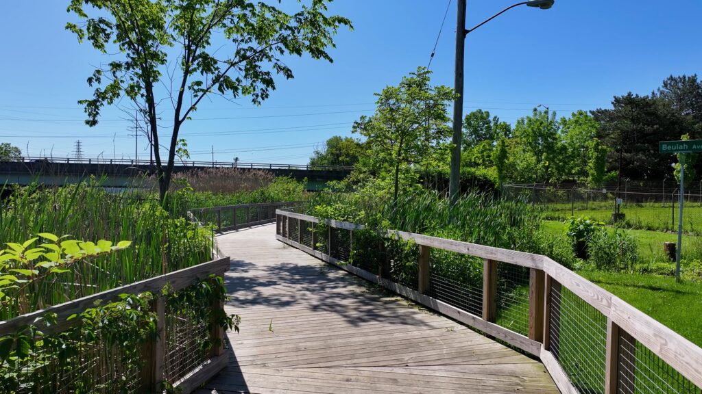Wood boardwalk with fencing on each side