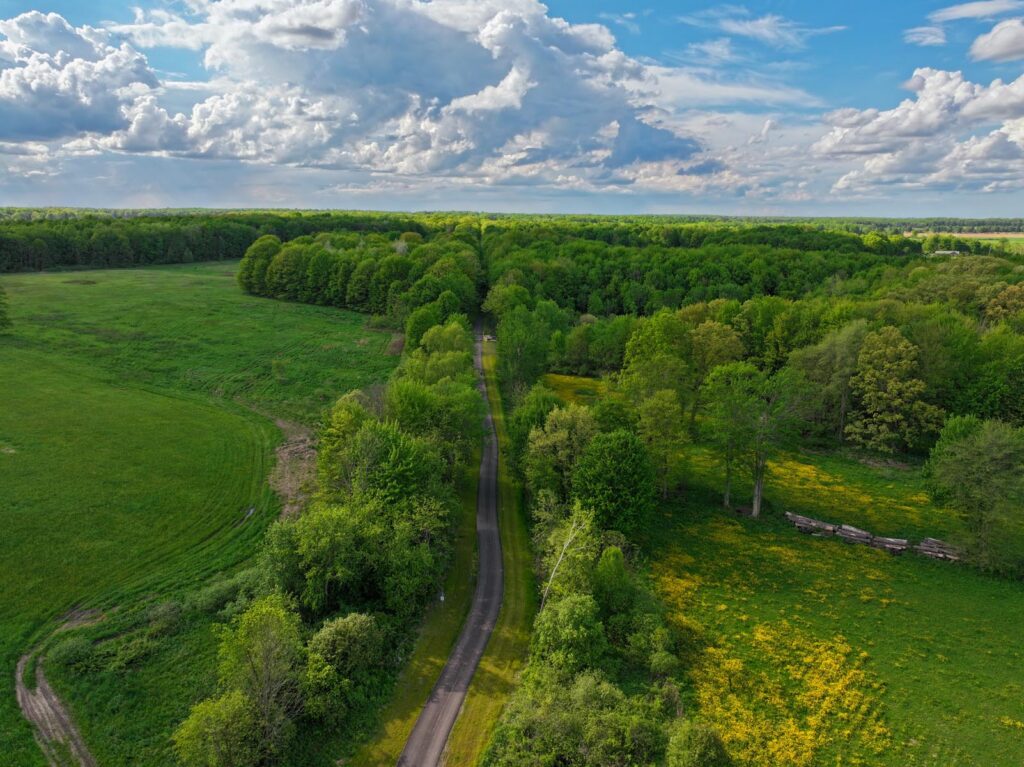 Aerial view of a lush green landscape with a trail running down the middle