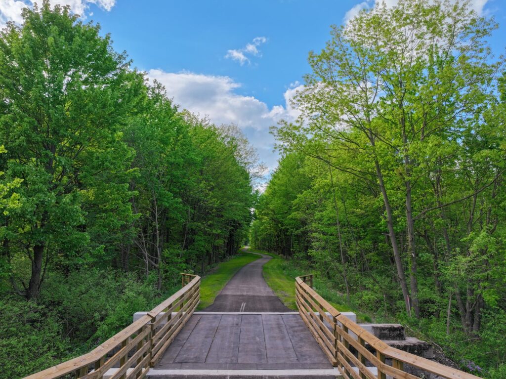 A bridge as part of a curved paved trail cutting through a lush green forest