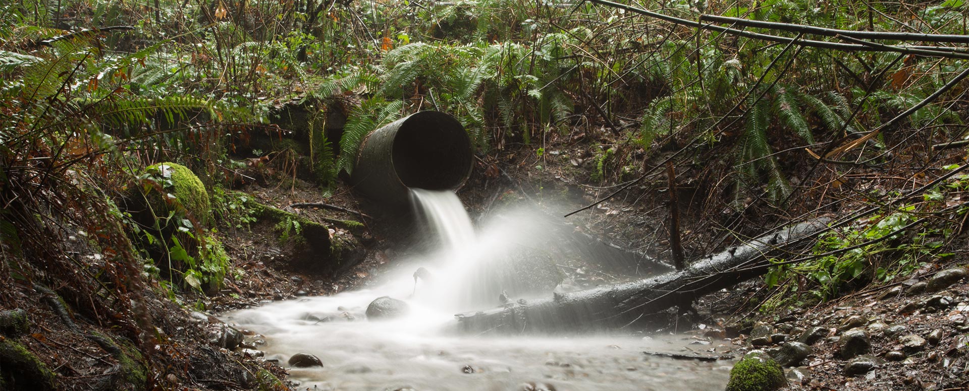 Water flowing from a storm sewer pipe and splashing onto a log.