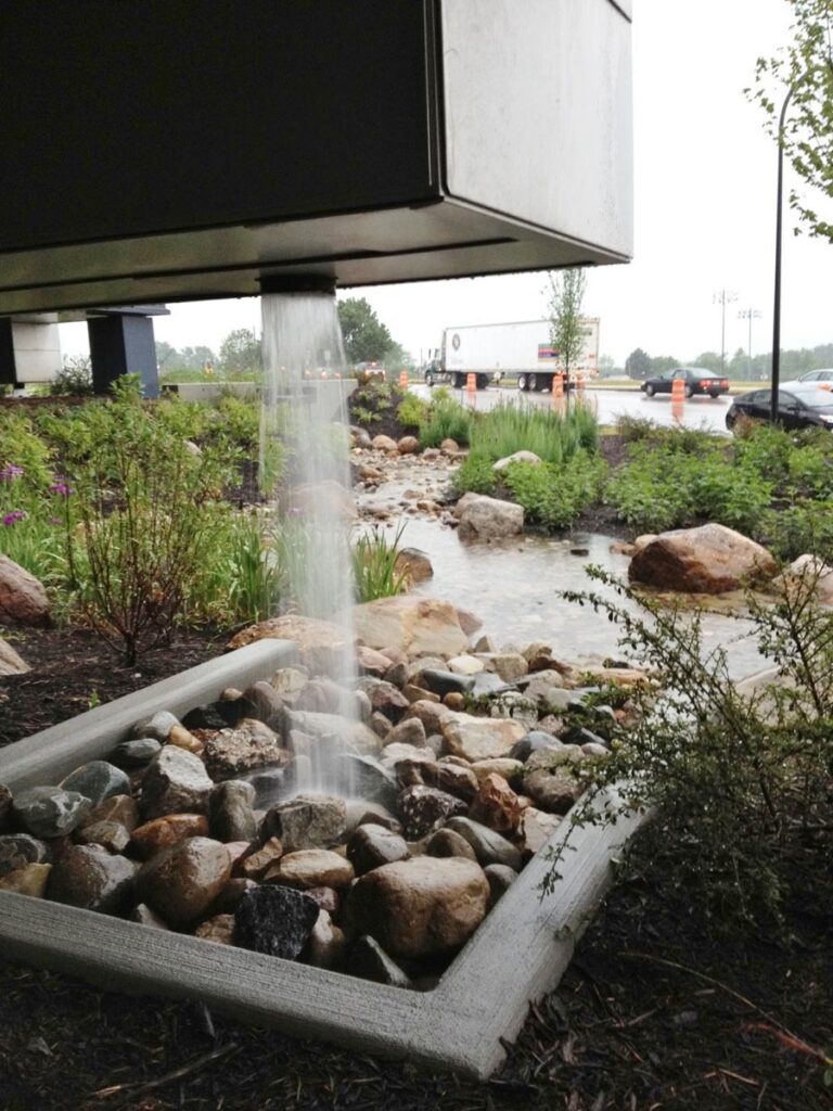 Downspout turning into a rain garden