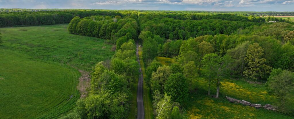 Aerial view of a lush green landscape with a trail running down the middle
