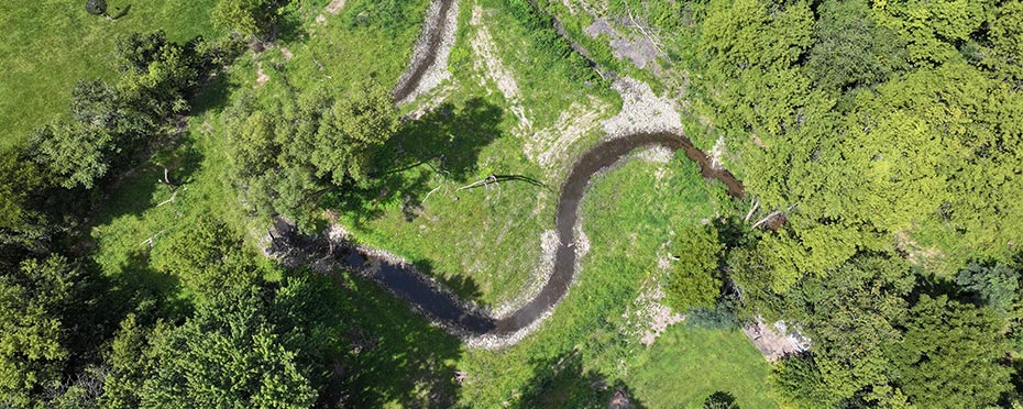 Creek snaking through the forest