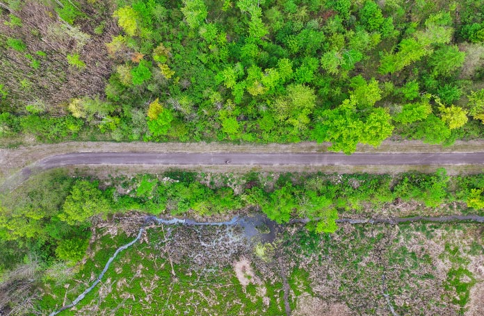 Aerial view of a trail in the woods