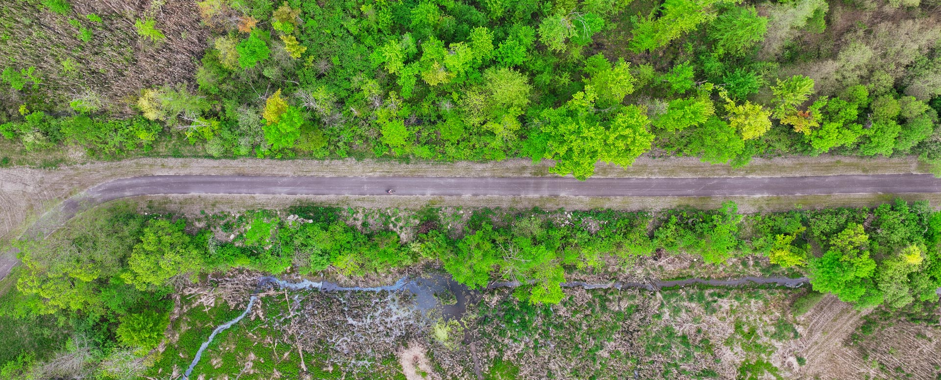 Aerial view of a trail in the woods